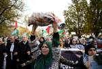 Activists in Paris rally in support of Palestinian women in Gaza (video)  <img src="/images/video_icon.png" width="13" height="13" border="0" align="top">