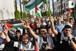 Moroccans hold nationwide rallies in support of Gaza