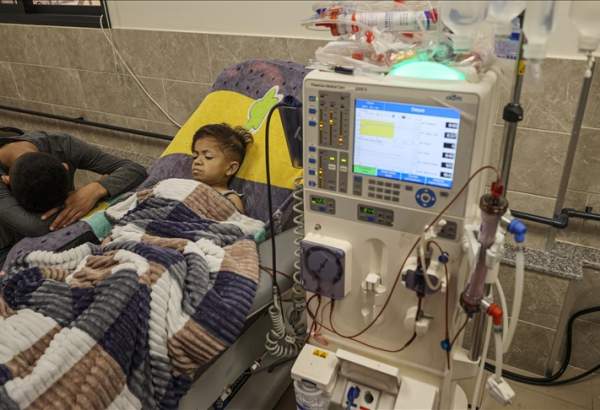 WHO reports at least 12,000 patients in Gaza need medical evacuation