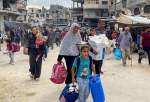 Israeli deadly war reduces north Gaza population to 10,000