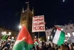 London protest demands government protect health care workers in Gaza