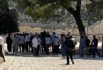 Group of Israeli settlers storm al-Aqsa Mosque courtyards