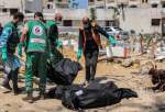 Thousands of bodies evaporated entirely due to Israeli strikes