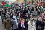 Pro-Palestine demonstrations sweep across Europe amid ceasefire