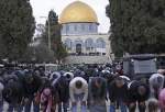 Over 50,000 Palestinians attended Friday communal prayer at al-Aqsa Mosque