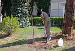 Arbor Day in Iran: An Islamic Perspective on Environmental Stewardship